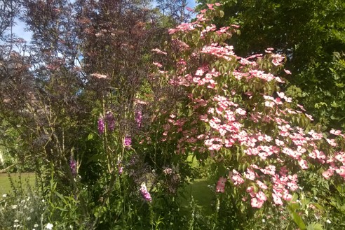 Secret Gardens of Normandy