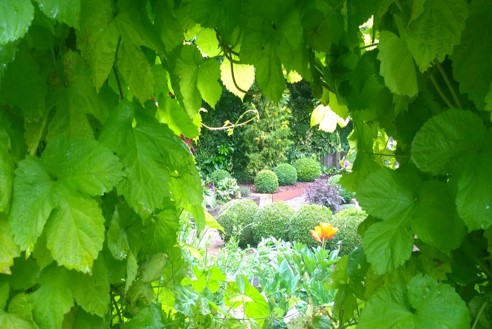 Secret Gardens of Normandy - 2