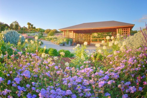 Auckland Botanic gardens