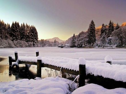 A Trossachs Tinsel and Turkey