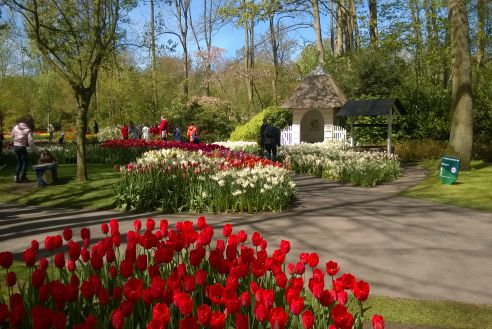 Keukenhof 2015