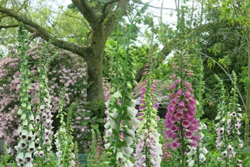 Botanic gardens Atworth