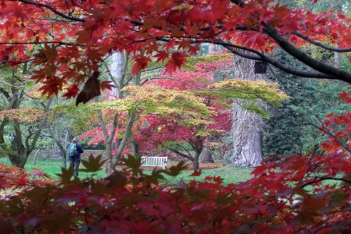 Westonbirt 